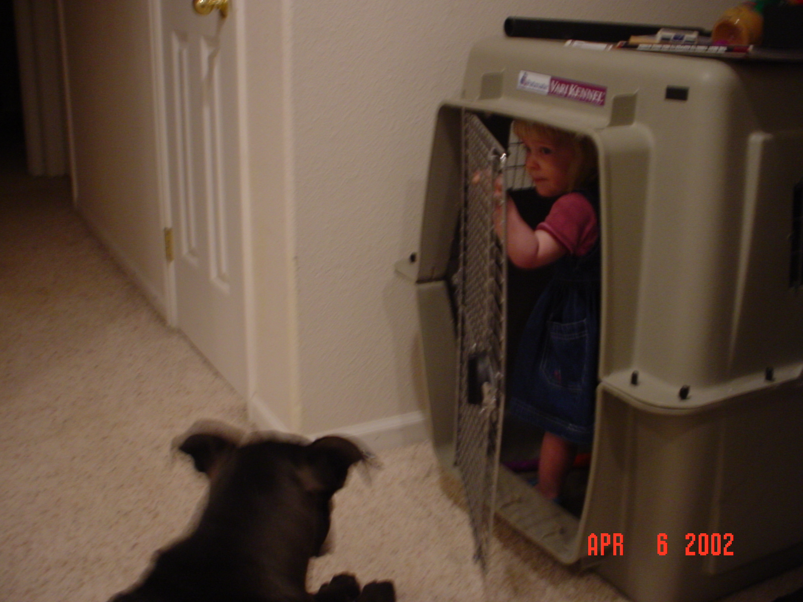 Katherine turns Jake’s kennel into a playhouse.